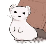 箱オコジョ@R18