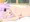 ねぷさん