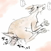 こじかふぁっく