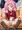 ルーナちゃん