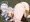冬虫夏草に寄生されてしまうノア