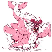 いるかもどき