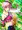アイドルダンスレッスン長門