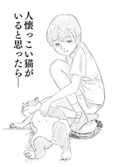 猫と少女