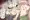 シェリー