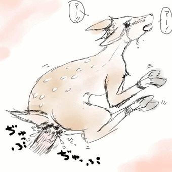 こじかふぁっく