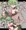 人間にひどいことされちゃう気弱ドラゴン娘（木製）