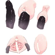 修正検証