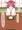 こたつの下で足コキするきりたん