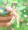 妖精捕まえた
