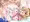 無理やりアリス