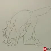 犬バック