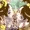 双海亜美・真美