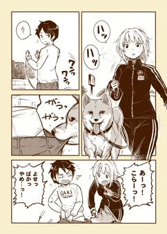 犬のさんぽ