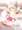 ノーブルローズちゃん