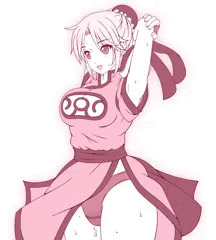 武闘家なマァム２