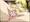アニホルのうんこが止まらない