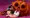 ハロウィン