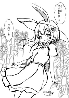 1,ヒマワリ畑の出会い