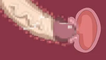 高木サンタの断面図