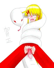 賀正