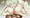 雲龍ううううううううううう、ウッッ