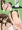 最近の稲本さん