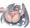 くぱぁ