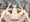 ボテックス