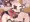 発情イズナに搾り取られるえち絵