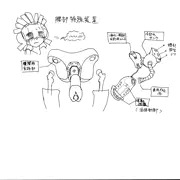 看1娘補足資料(3)腰部特殊装置（つまりホール）