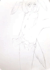 アオツラカツオドリ