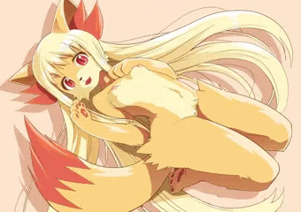フォッコさん