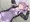 ゆかりさん