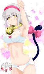 うちの子　キキ