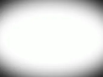触手と蝙蝠