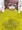 嫌々おならを嗅がせてくれるメイちゃん