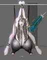 超乳飼育【途中】