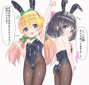 うちの子バニー👯‍♀️