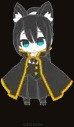SHIN