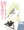 ルザミーネさんの逆洗脳