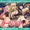 C94新刊「ゲーマ○ズ！はぁはぁCG集」