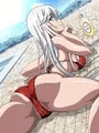ラ・フォリア　オイル塗り