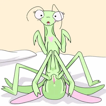 女性カマキリ