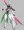 １月ポケエロまとめ