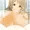 かな子　着衣パイズリ