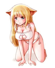 ねこランジェリー