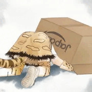 ネコ科の性