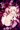 イリヤVS触手