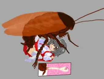 JSゴキ姦